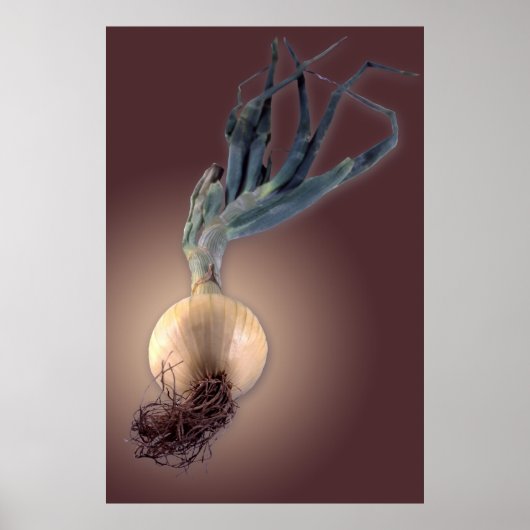 Sweet Onion Poster (Voorkant)
