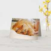 Sweet Oranje Maine Coon Cat Kaart (Gele Bloem)