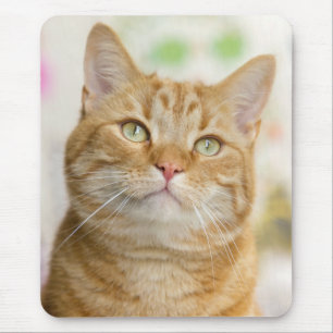 Sweet Oranje Tabby Cat Muismat
