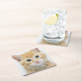 Sweet Oranje Tabby Kartonnen Onderzetters (Insitu)