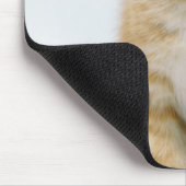 Sweet Oranje Tabby Muismat (Hoek)