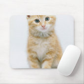 Sweet Oranje Tabby Muismat (Met muis)