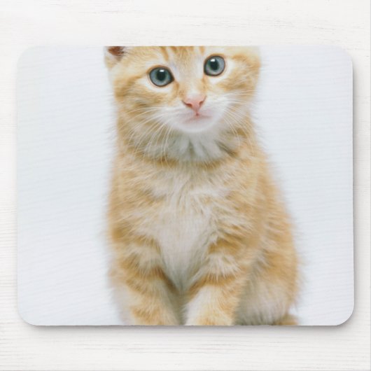 Sweet Oranje Tabby Muismat (Voorkant)