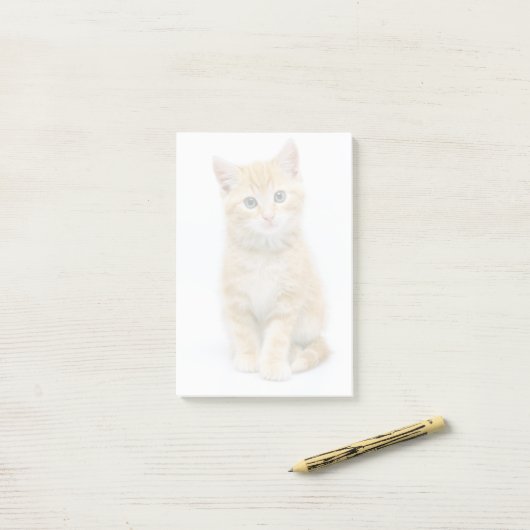 Sweet Oranje Tabby Post-it® Notes (Op bureau)