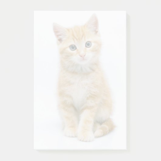 Sweet Oranje Tabby Post-it® Notes (Voorkant)