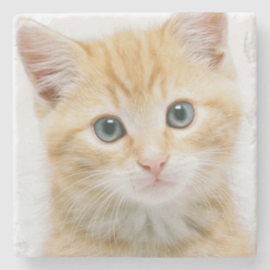 Sweet Oranje Tabby Stenen Onderzetter (Voorkant)