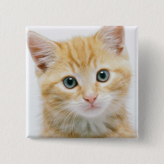 Sweet Oranje Tabby Vierkante Button 5,1 Cm (Voorkant)