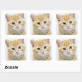 Sweet Oranje Tabby Vierkante Sticker (Vel)