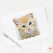 Sweet Oranje Tabby Vierkante Sticker (Envelop)