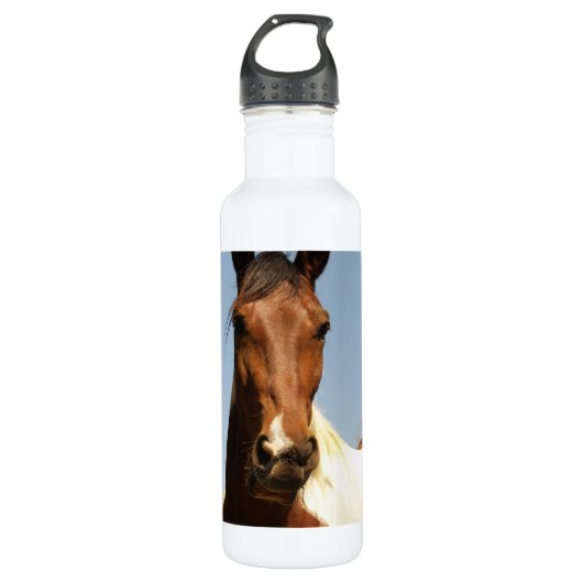Sweet Paint Horse Waterfles (Voorkant)