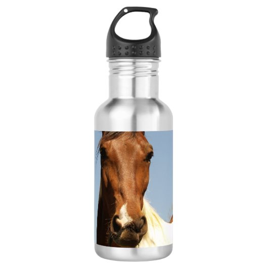 Sweet Paint Horse Waterfles (Voorkant)
