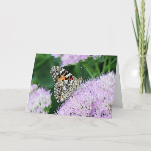 Sweet Painted Lady Kaart (Voorkant)