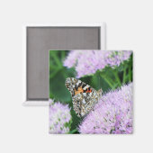 Sweet Painted Lady Magneet (Voorkant / Achterkant)