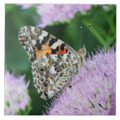 Sweet Painted Lady Tegeltje (Voorkant)