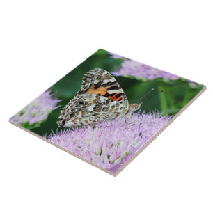 Sweet Painted Lady Tegeltje
