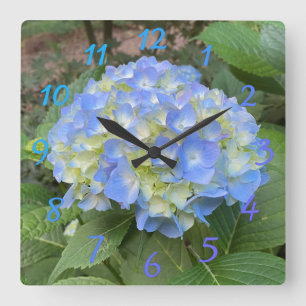 Sweet Pale Blue Mophead Hydrangea Numeral Clock Vierkante Klok