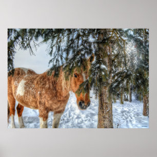 Sweet Palomino Paint Horse Sheltering uit sneeuw Poster
