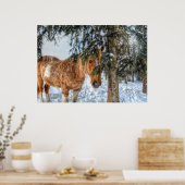 Sweet Palomino Paint Horse Sheltering uit sneeuw Poster (Keuken)