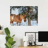 Sweet Palomino Paint Horse Sheltering uit sneeuw Poster (Thuiskantoor)