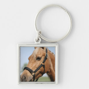 Sweet Palomino-Sleutelhanger Sleutelhanger