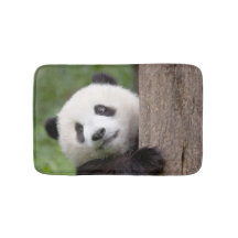 Sweet Panda Beer schilderen