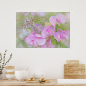Sweet Pea Blossoms | Seabeck, WA Poster (Keuken)
