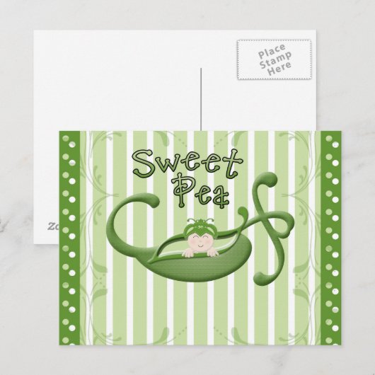 Sweet Pea Briefkaart (Voorkant / Achterkant)