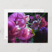 Sweet Pea Briefkaart (Voorkant / Achterkant)