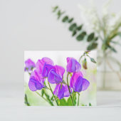 Sweet Pea Briefkaart (Staand voorkant)