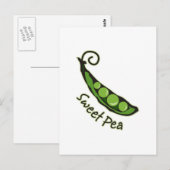 Sweet Pea Briefkaart (Voorkant / Achterkant)