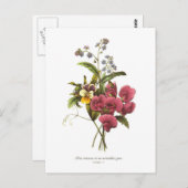 Sweet Pea en Viola Briefkaart (Voorkant / Achterkant)