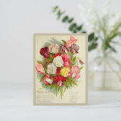  Sweet Pea Flower Boeket Zaden Catalogus Briefkaart (Staand voorkant)