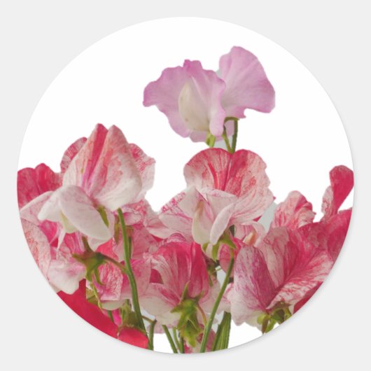 Sweet Pea Flowers Sticker (Voorkant)