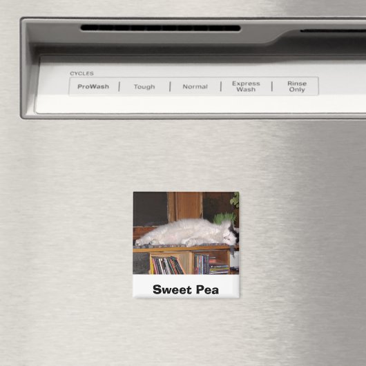 Sweet Pea Magneet (Insitu (Vaatwasser))