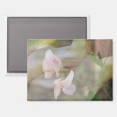 Sweet Pea Magnet (Voorkant / Achterkant)