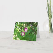 Sweet Pea Note Kaart (Voorkant)
