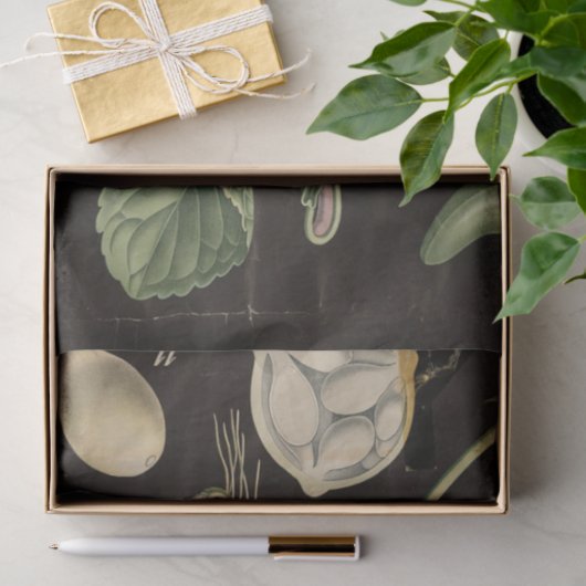 Sweet Pea-ontkoppelpapier Tissuepapier (Geschenk)