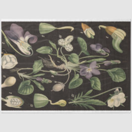 Sweet Pea-ontkoppelpapier Tissuepapier