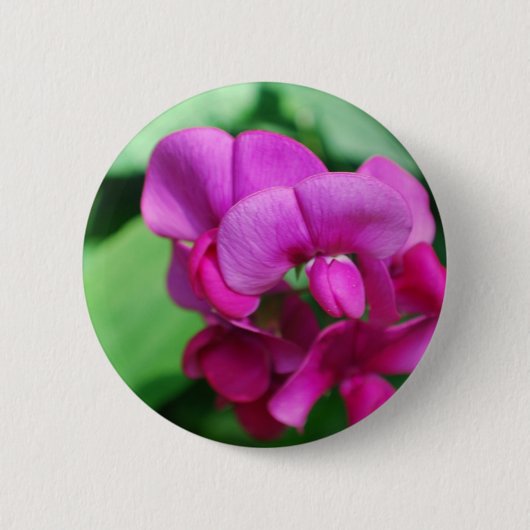 Sweet Pea Pin Ronde Button 5,7 Cm (Voorkant)