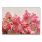 Sweet pea-regeling kaart (Achterkant)