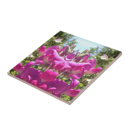 Sweet Pea Tile Tegeltje (Zijkant)