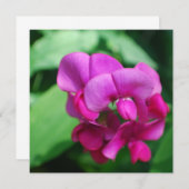 Sweet Pea-uitnodigingen Kaart (Voorkant / Achterkant)