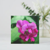 Sweet Pea-uitnodigingen Kaart (Staand voorkant)