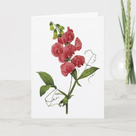 Sweet Pea Waterverf Sympathiekaart Kaart