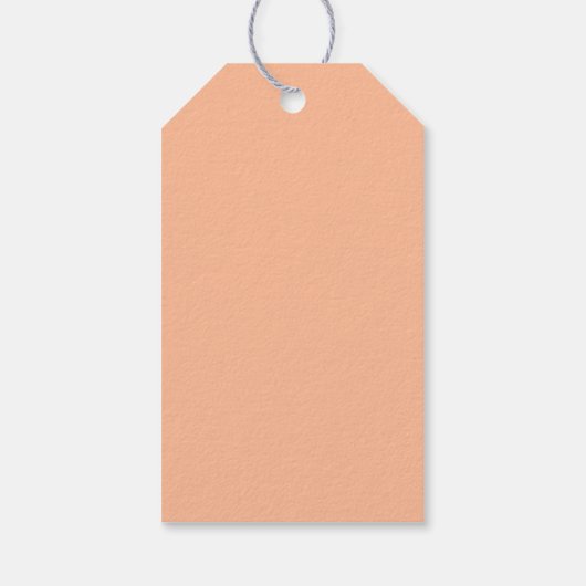 Sweet Peach minimalistisch script zomer bruiloft Cadeaulabel (Achterkant)