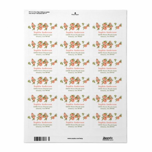 Sweet Peach Retour Adres Label Stickers (Full Sheet)