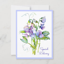 Sweet Peas Anytime Kaart