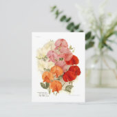 Sweet Peas Briefkaart (Staand voorkant)