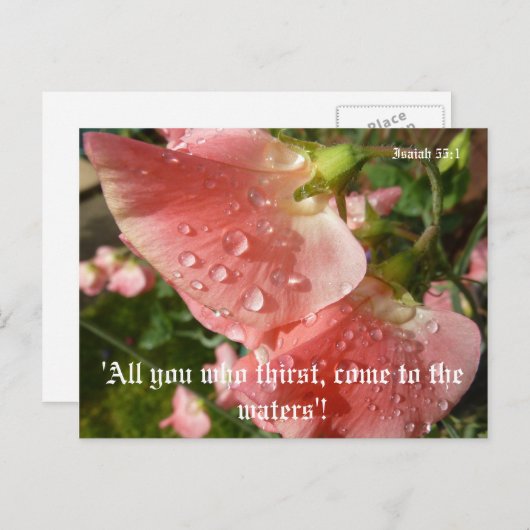 Sweet Peas Briefkaart (Voorkant / Achterkant)