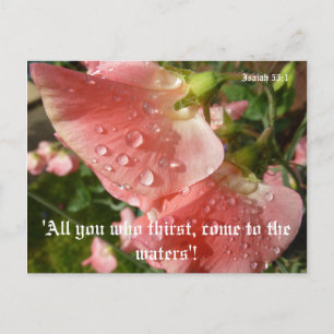 Sweet Peas Briefkaart